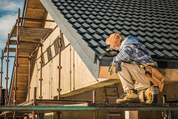 Best Roof Maintenance and Cleaning  in Lanark, IL