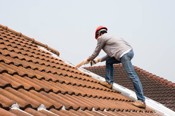 Fast & Reliable Emergency Roof Repairs in Lanark, IL
